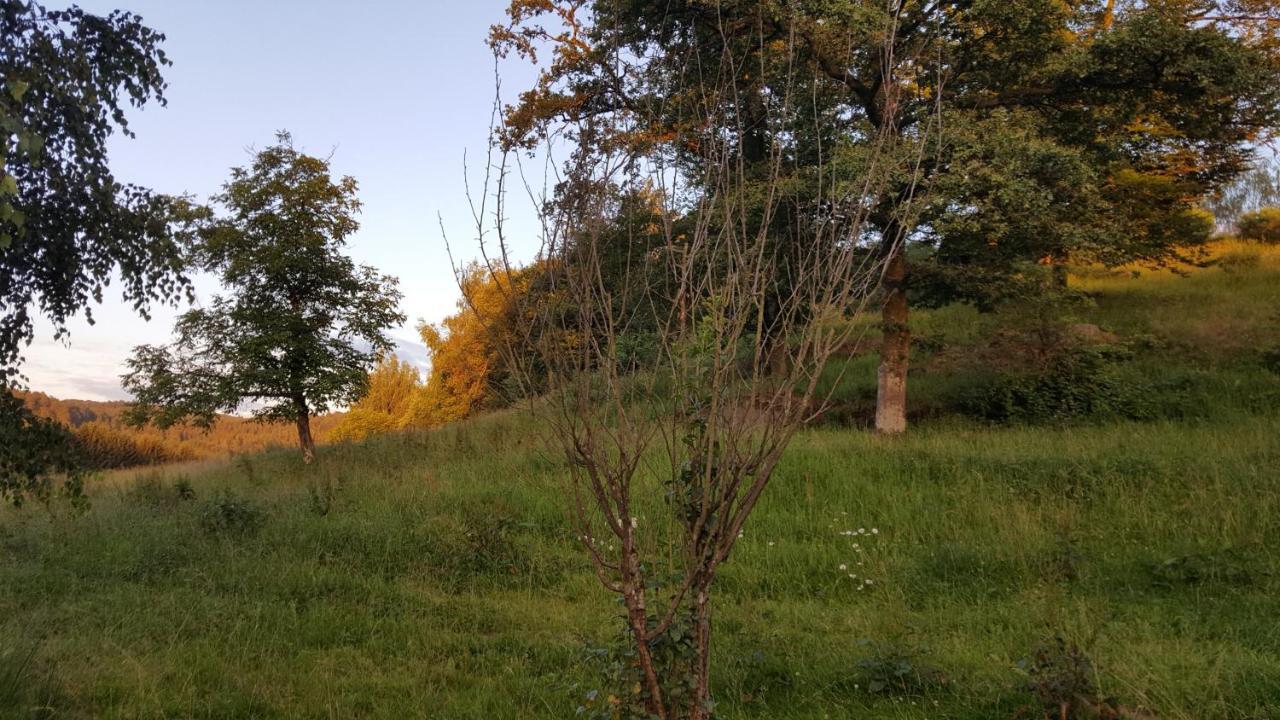 Ma Roulotte Sous Les Chenes- Au Naturel Raon-aux-Bois Ngoại thất bức ảnh